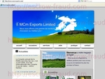mcm-exports.com.jpg