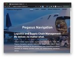 pegasus-navigation-shipping.com.jpg